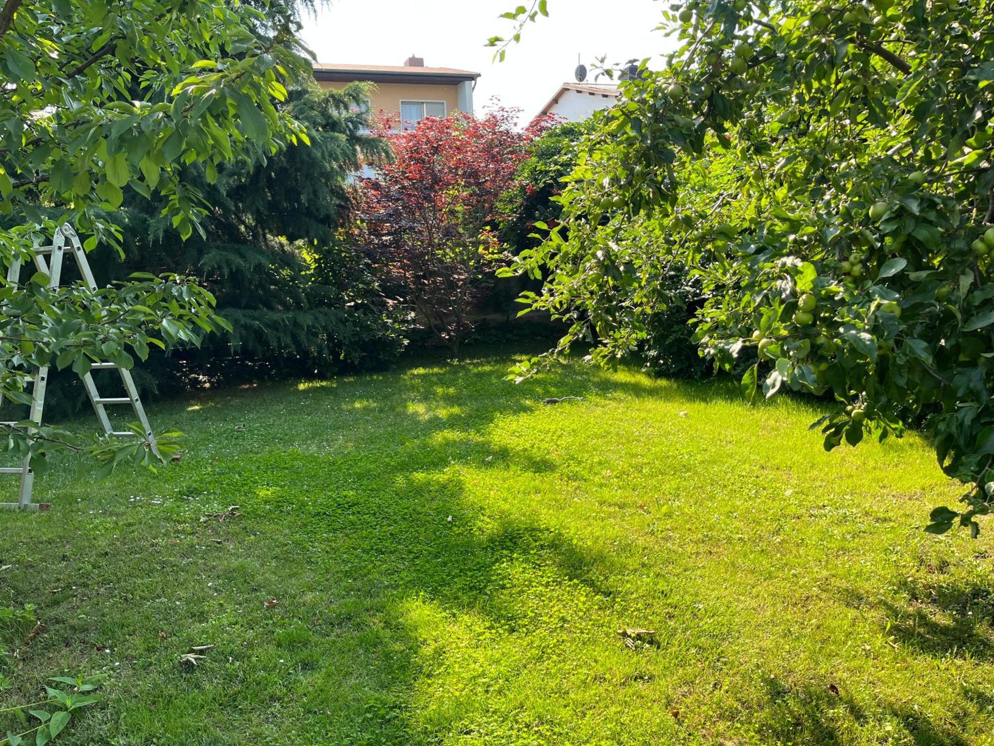 Elbidyll Apartment Magdeburg Bagian luar foto