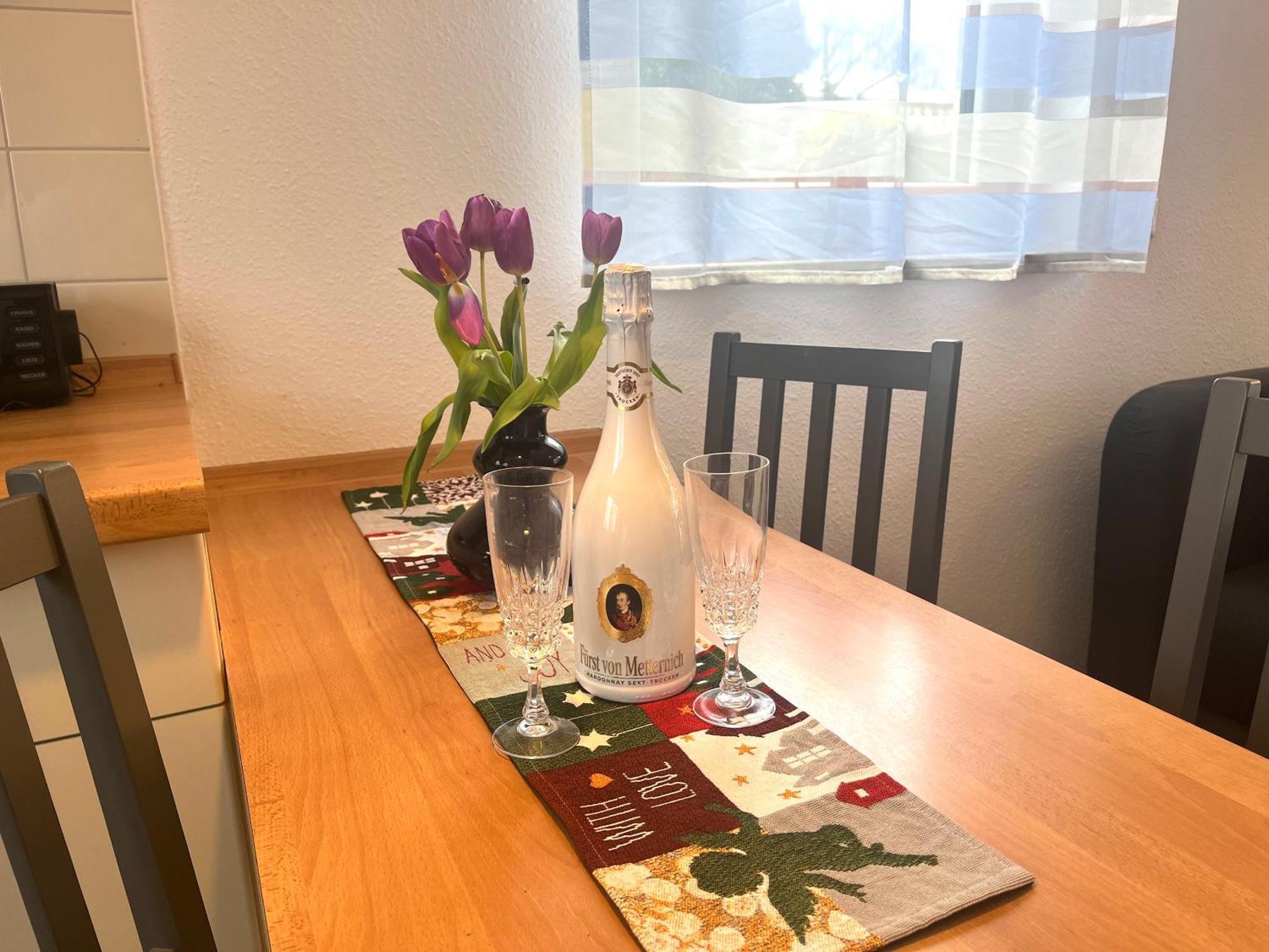 Elbidyll Apartment Magdeburg Bagian luar foto
